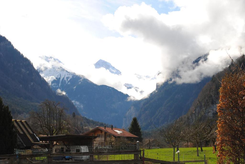 Studio Glaus Lägenhet Wilderswil Rum bild
